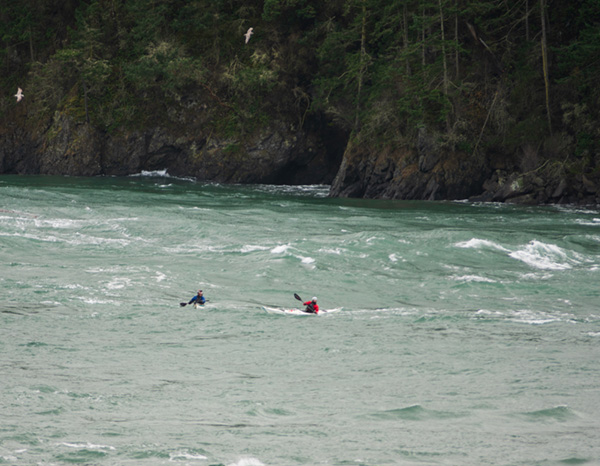 Kayakers paddling through large waves