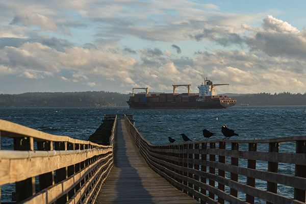 A long dock with many crows lining the handrails. A large ship can be seen a distance from the end of the dock.